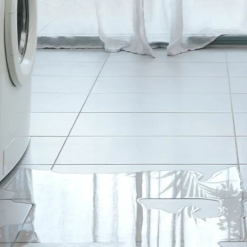 Appliance Leak Cleanup in Cambridge, IL