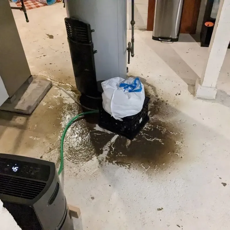 Sewage Backup Cleanup Service in Cambridge, IL